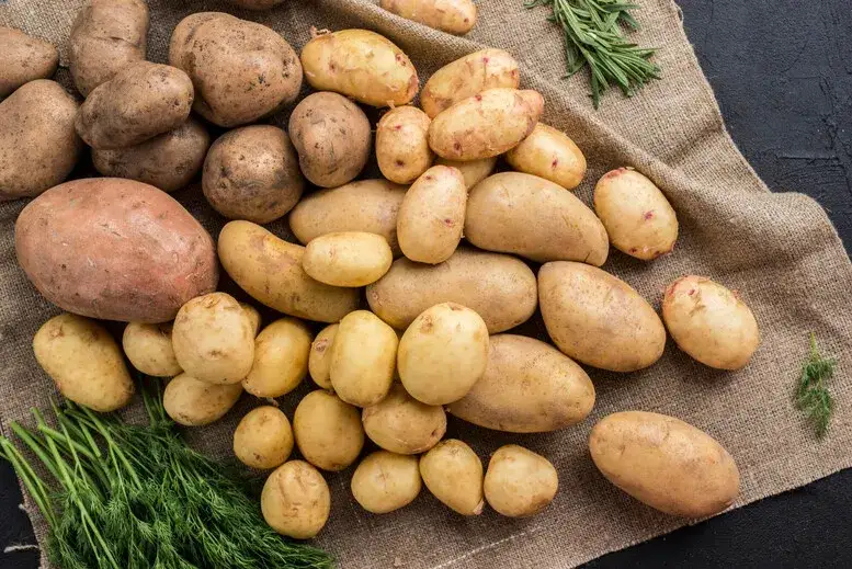 różne typy ziemniaków do smażenia